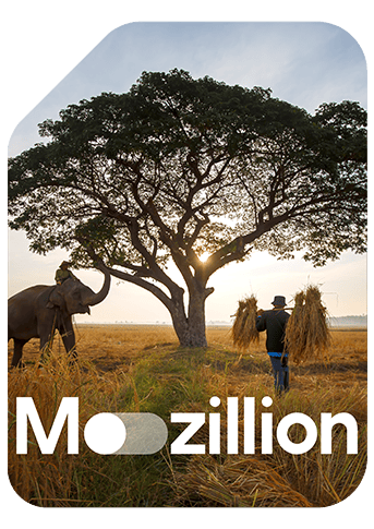 1766142971_1760449538_Mozillion Travel SIM Cover - Botswana.png
